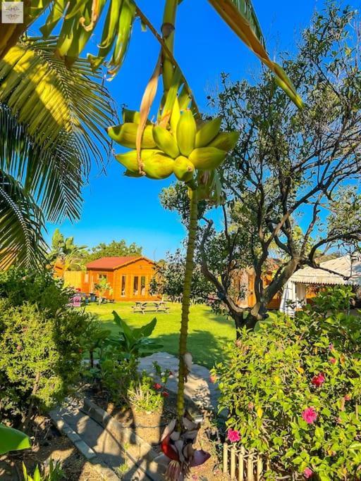 Finca Tierra Sana Estepona Exterior photo